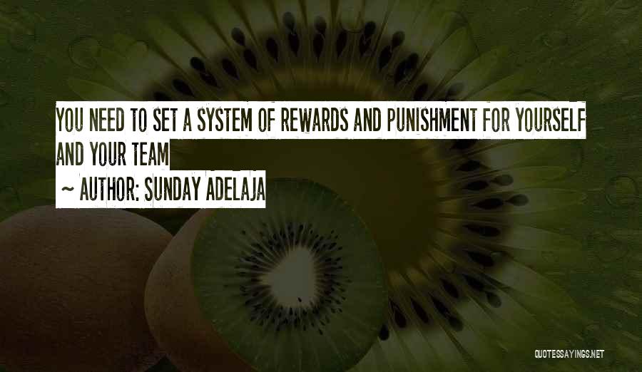 Sunday Adelaja Quotes: You Need To Set A System Of Rewards And Punishment For Yourself And Your Team