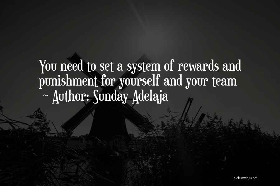 Sunday Adelaja Quotes: You Need To Set A System Of Rewards And Punishment For Yourself And Your Team