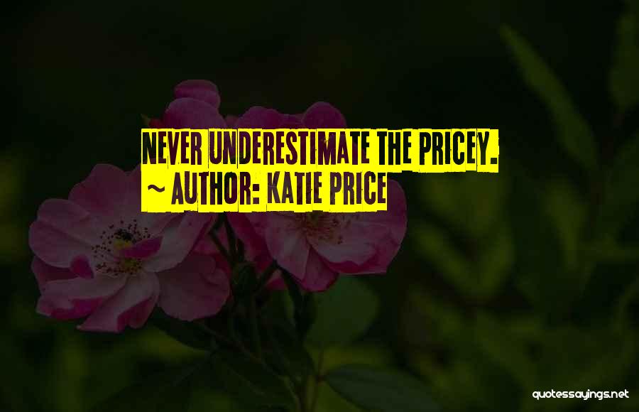 Katie Price Quotes: Never Underestimate The Pricey.