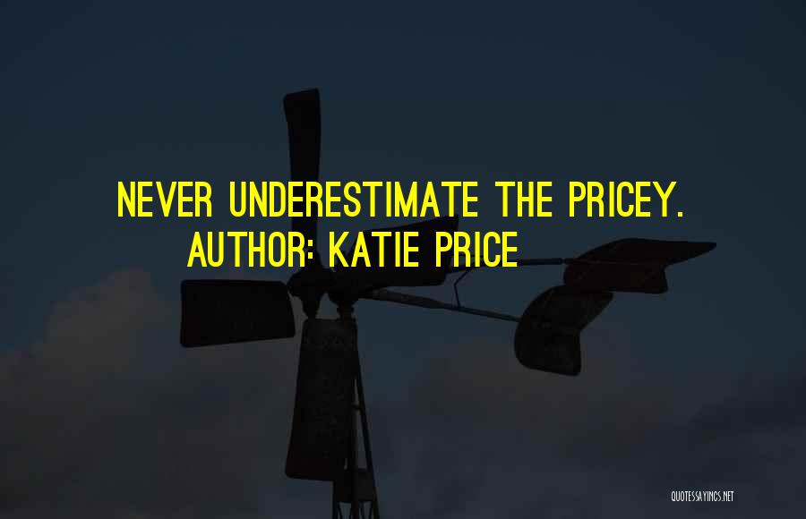Katie Price Quotes: Never Underestimate The Pricey.
