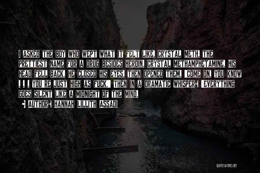 Hannah Lillith Assadi Quotes: I Asked The Boy Who Wept What It Felt Like, Crystal Meth, The Prettiest Name For A Drug Besides Heroin.