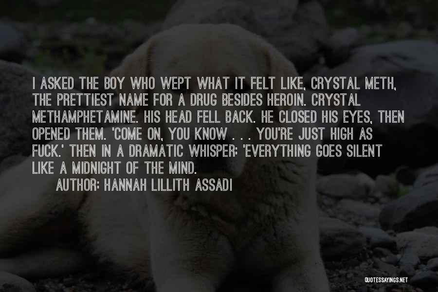 Hannah Lillith Assadi Quotes: I Asked The Boy Who Wept What It Felt Like, Crystal Meth, The Prettiest Name For A Drug Besides Heroin.