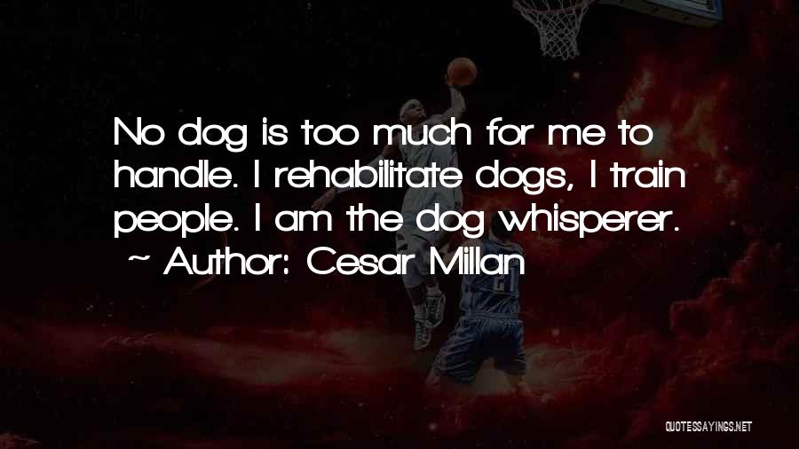 Cesar Millan Quotes: No Dog Is Too Much For Me To Handle. I Rehabilitate Dogs, I Train People. I Am The Dog Whisperer.