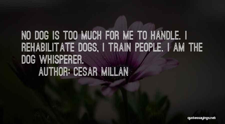 Cesar Millan Quotes: No Dog Is Too Much For Me To Handle. I Rehabilitate Dogs, I Train People. I Am The Dog Whisperer.