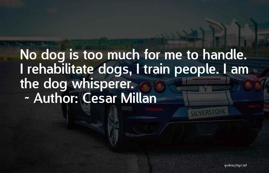 Cesar Millan Quotes: No Dog Is Too Much For Me To Handle. I Rehabilitate Dogs, I Train People. I Am The Dog Whisperer.