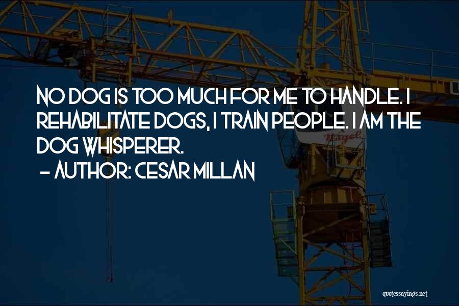 Cesar Millan Quotes: No Dog Is Too Much For Me To Handle. I Rehabilitate Dogs, I Train People. I Am The Dog Whisperer.