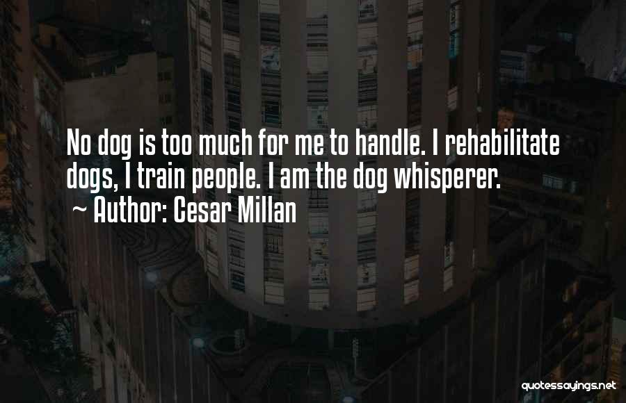 Cesar Millan Quotes: No Dog Is Too Much For Me To Handle. I Rehabilitate Dogs, I Train People. I Am The Dog Whisperer.