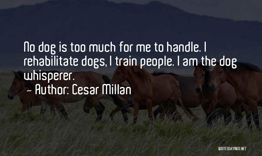 Cesar Millan Quotes: No Dog Is Too Much For Me To Handle. I Rehabilitate Dogs, I Train People. I Am The Dog Whisperer.