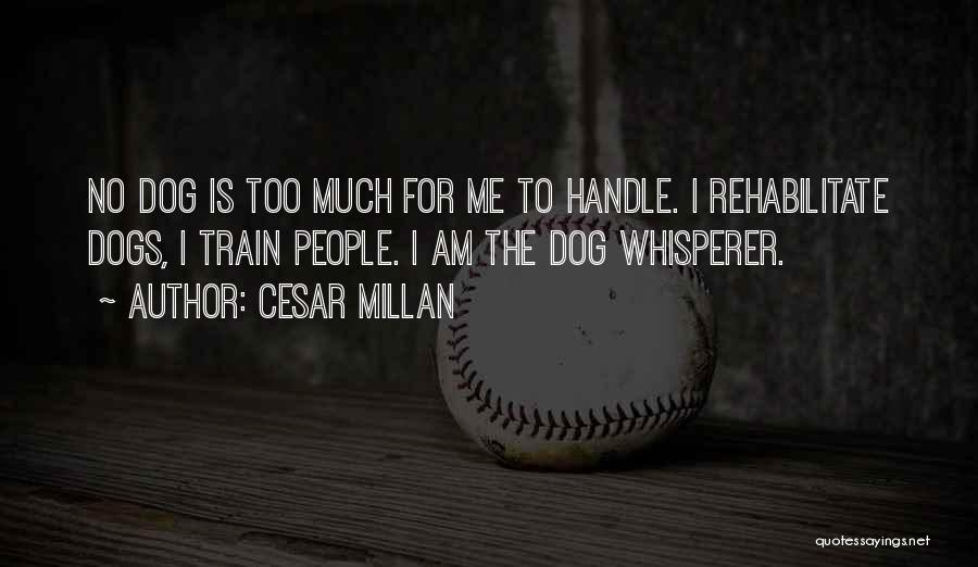 Cesar Millan Quotes: No Dog Is Too Much For Me To Handle. I Rehabilitate Dogs, I Train People. I Am The Dog Whisperer.