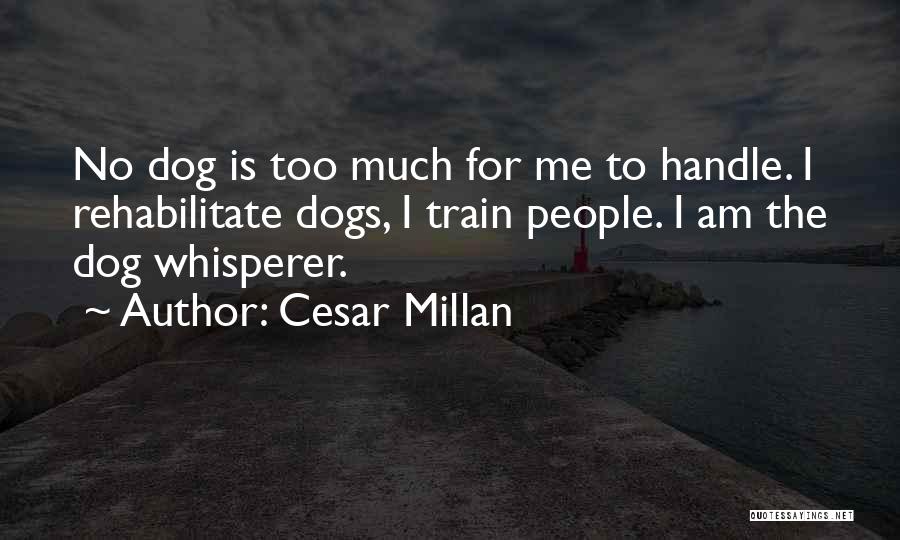 Cesar Millan Quotes: No Dog Is Too Much For Me To Handle. I Rehabilitate Dogs, I Train People. I Am The Dog Whisperer.