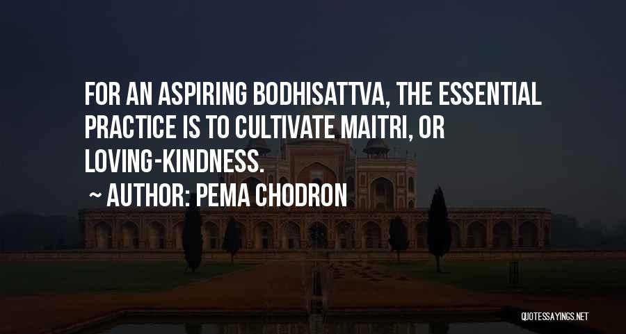 Pema Chodron Quotes: For An Aspiring Bodhisattva, The Essential Practice Is To Cultivate Maitri, Or Loving-kindness.