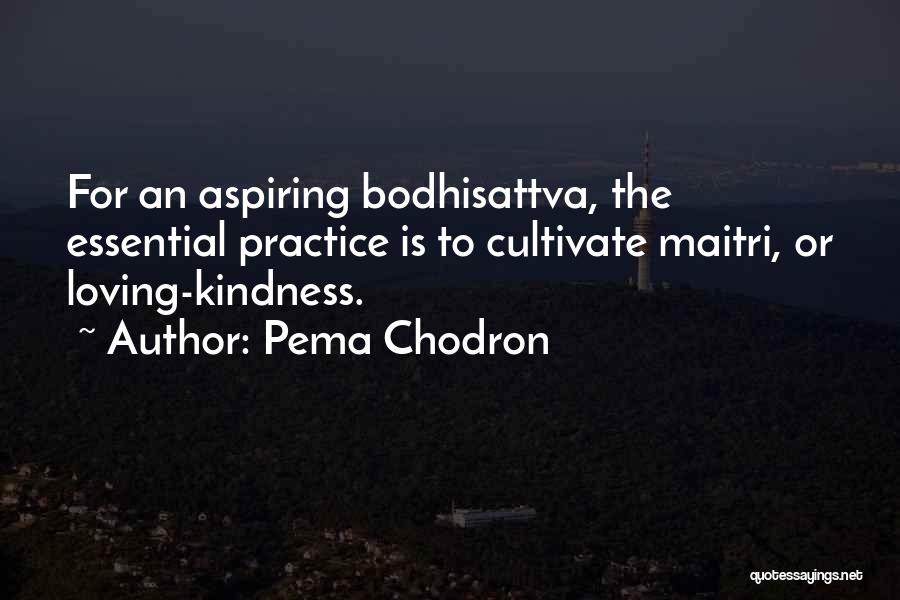 Pema Chodron Quotes: For An Aspiring Bodhisattva, The Essential Practice Is To Cultivate Maitri, Or Loving-kindness.