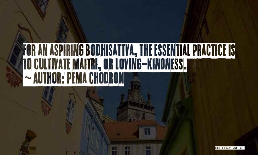 Pema Chodron Quotes: For An Aspiring Bodhisattva, The Essential Practice Is To Cultivate Maitri, Or Loving-kindness.