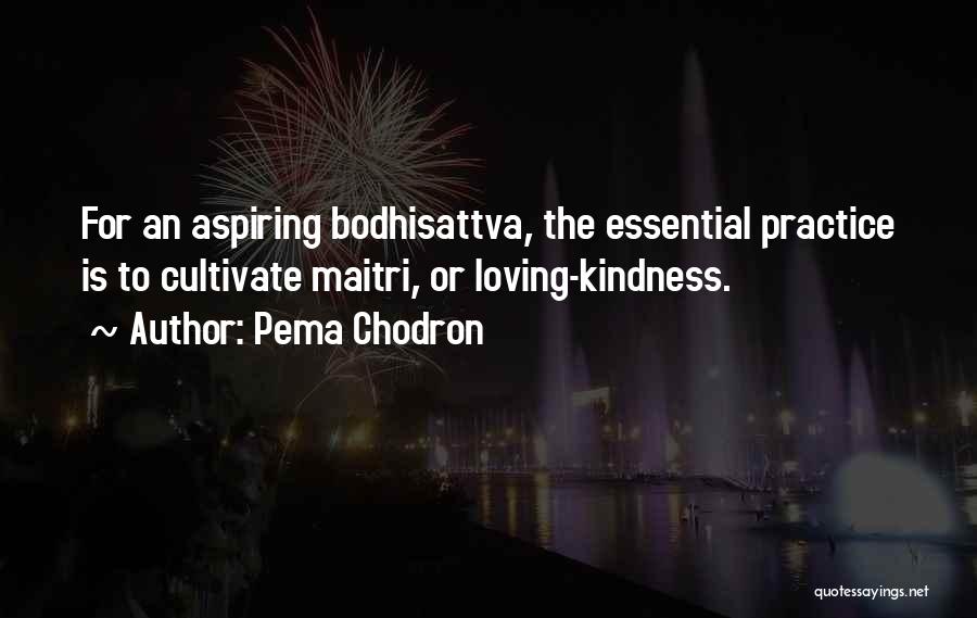 Pema Chodron Quotes: For An Aspiring Bodhisattva, The Essential Practice Is To Cultivate Maitri, Or Loving-kindness.