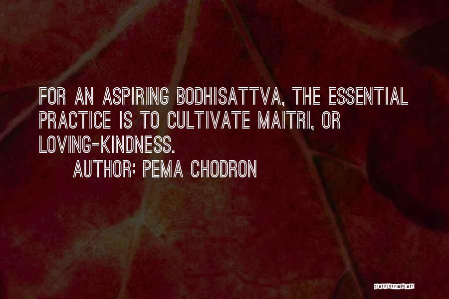 Pema Chodron Quotes: For An Aspiring Bodhisattva, The Essential Practice Is To Cultivate Maitri, Or Loving-kindness.