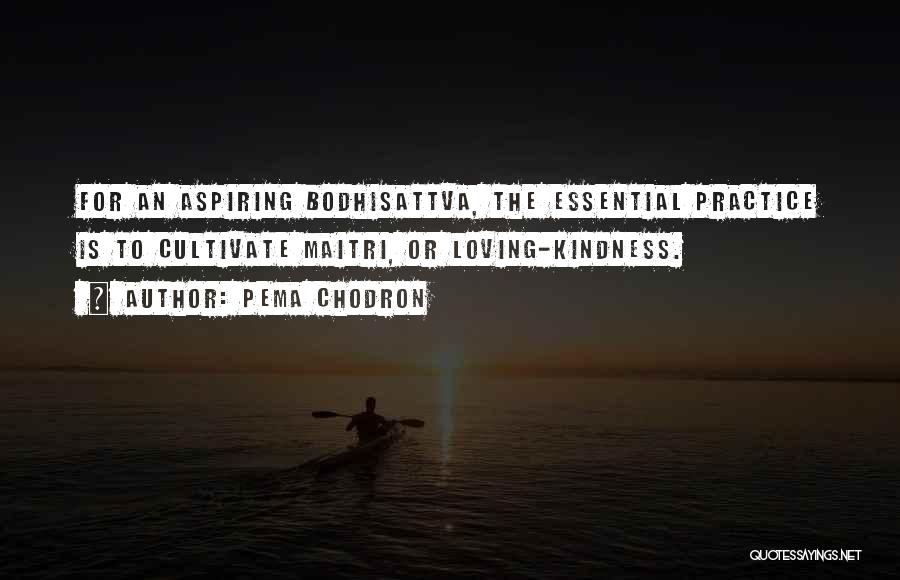 Pema Chodron Quotes: For An Aspiring Bodhisattva, The Essential Practice Is To Cultivate Maitri, Or Loving-kindness.