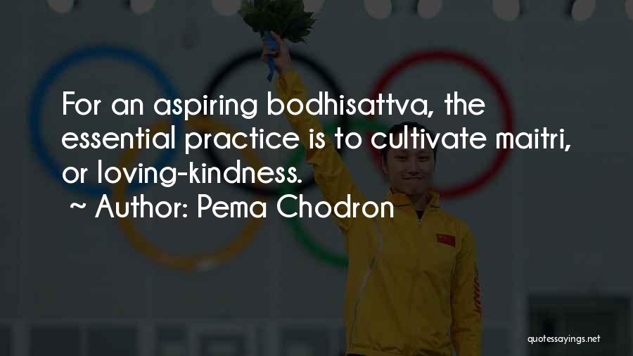 Pema Chodron Quotes: For An Aspiring Bodhisattva, The Essential Practice Is To Cultivate Maitri, Or Loving-kindness.