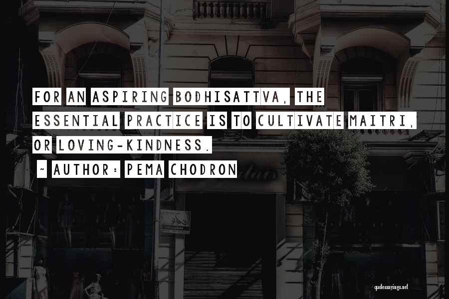 Pema Chodron Quotes: For An Aspiring Bodhisattva, The Essential Practice Is To Cultivate Maitri, Or Loving-kindness.