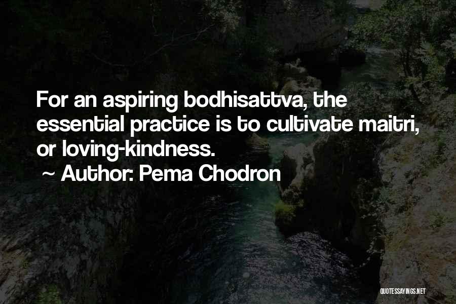 Pema Chodron Quotes: For An Aspiring Bodhisattva, The Essential Practice Is To Cultivate Maitri, Or Loving-kindness.