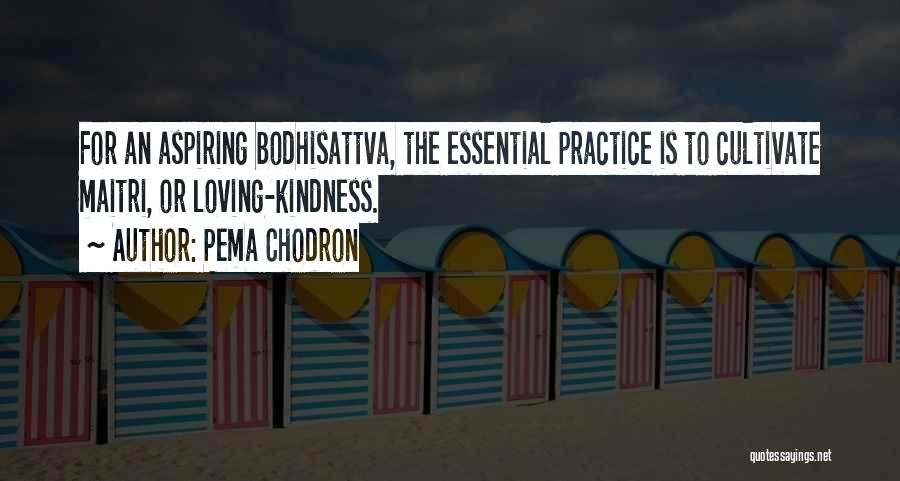 Pema Chodron Quotes: For An Aspiring Bodhisattva, The Essential Practice Is To Cultivate Maitri, Or Loving-kindness.