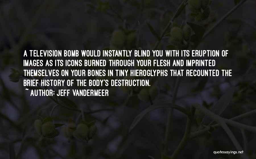 Jeff VanderMeer Quotes: A Television Bomb Would Instantly Blind You With Its Eruption Of Images As Its Icons Burned Through Your Flesh And