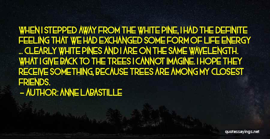 Anne LaBastille Quotes: When I Stepped Away From The White Pine, I Had The Definite Feeling That We Had Exchanged Some Form Of