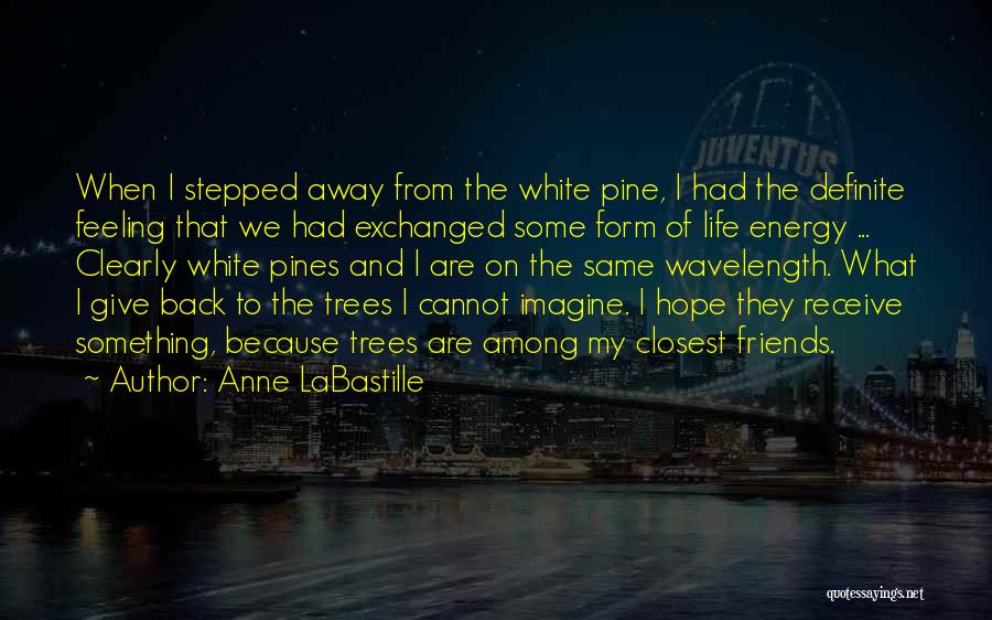 Anne LaBastille Quotes: When I Stepped Away From The White Pine, I Had The Definite Feeling That We Had Exchanged Some Form Of