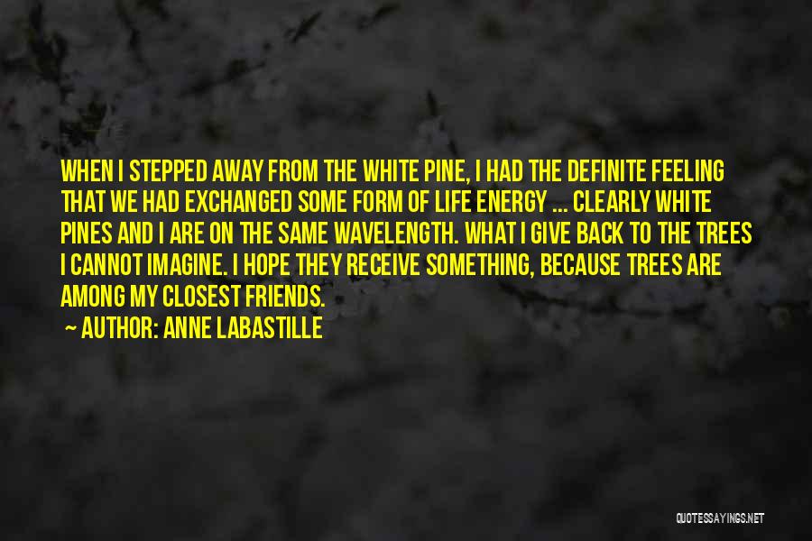 Anne LaBastille Quotes: When I Stepped Away From The White Pine, I Had The Definite Feeling That We Had Exchanged Some Form Of