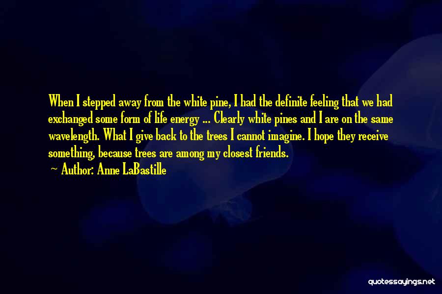 Anne LaBastille Quotes: When I Stepped Away From The White Pine, I Had The Definite Feeling That We Had Exchanged Some Form Of