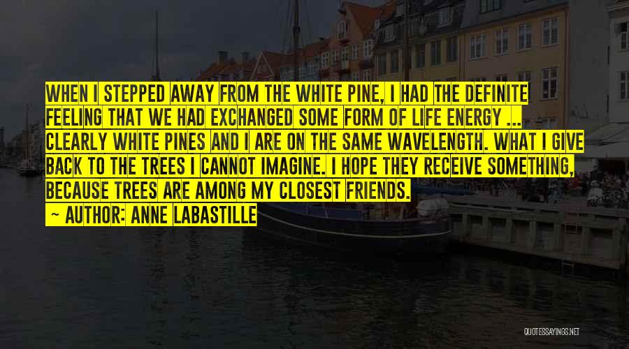 Anne LaBastille Quotes: When I Stepped Away From The White Pine, I Had The Definite Feeling That We Had Exchanged Some Form Of