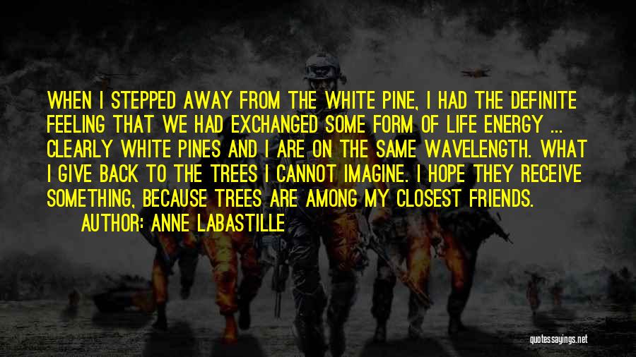 Anne LaBastille Quotes: When I Stepped Away From The White Pine, I Had The Definite Feeling That We Had Exchanged Some Form Of