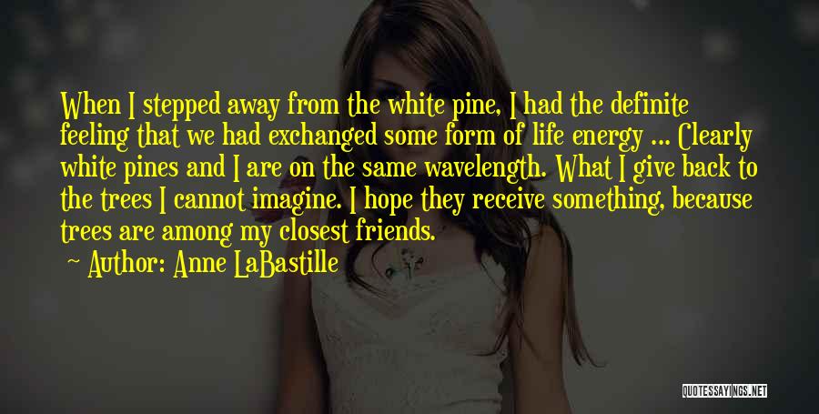 Anne LaBastille Quotes: When I Stepped Away From The White Pine, I Had The Definite Feeling That We Had Exchanged Some Form Of