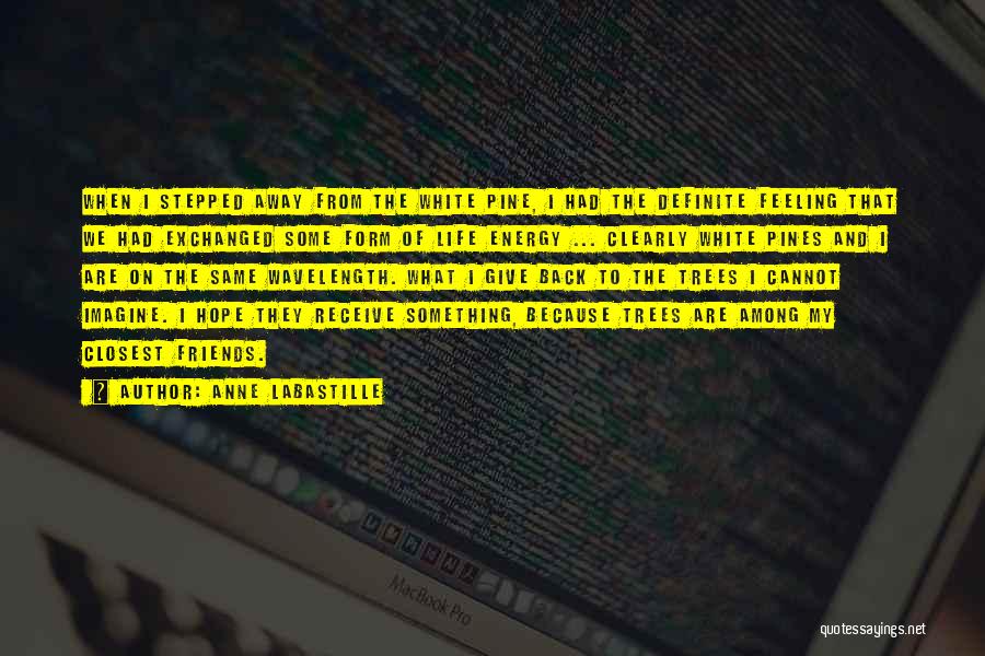 Anne LaBastille Quotes: When I Stepped Away From The White Pine, I Had The Definite Feeling That We Had Exchanged Some Form Of