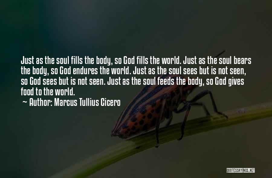 Marcus Tullius Cicero Quotes: Just As The Soul Fills The Body, So God Fills The World. Just As The Soul Bears The Body, So