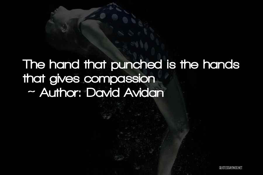 David Avidan Quotes: The Hand That Punched Is The Hands That Gives Compassion