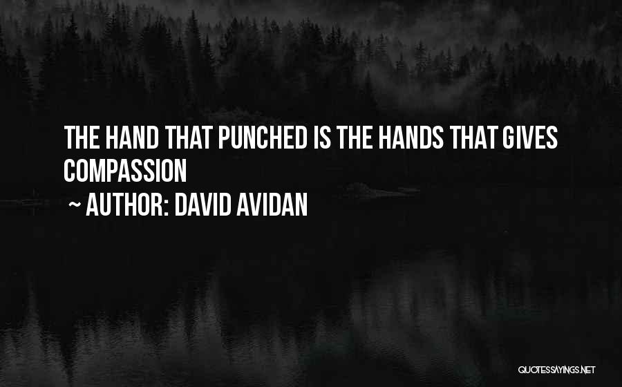 David Avidan Quotes: The Hand That Punched Is The Hands That Gives Compassion