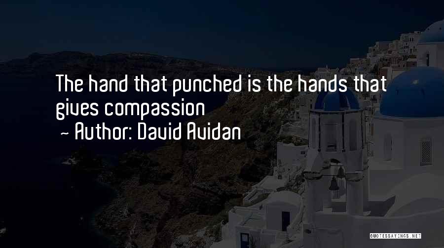 David Avidan Quotes: The Hand That Punched Is The Hands That Gives Compassion
