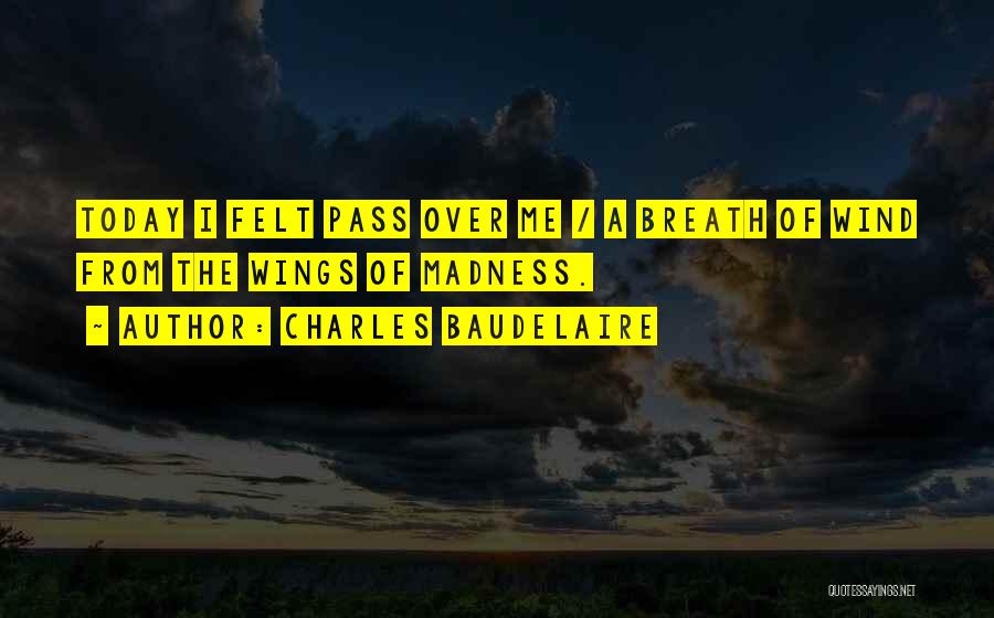 Charles Baudelaire Quotes: Today I Felt Pass Over Me / A Breath Of Wind From The Wings Of Madness.