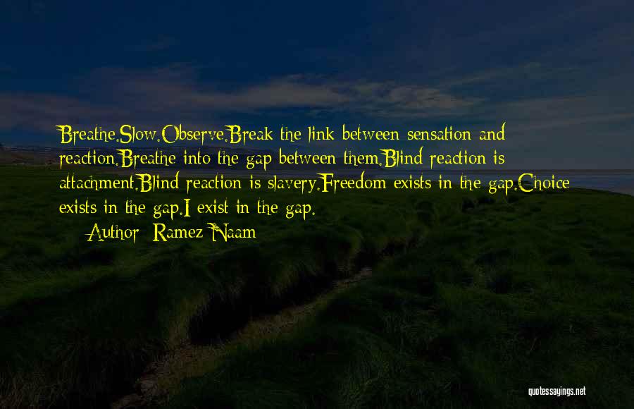 Ramez Naam Quotes: Breathe.slow.observe.break The Link Between Sensation And Reaction.breathe Into The Gap Between Them.blind Reaction Is Attachment.blind Reaction Is Slavery.freedom Exists In