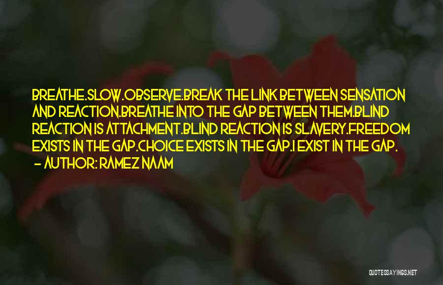 Ramez Naam Quotes: Breathe.slow.observe.break The Link Between Sensation And Reaction.breathe Into The Gap Between Them.blind Reaction Is Attachment.blind Reaction Is Slavery.freedom Exists In