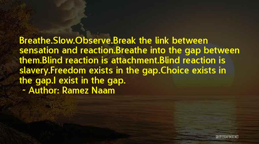 Ramez Naam Quotes: Breathe.slow.observe.break The Link Between Sensation And Reaction.breathe Into The Gap Between Them.blind Reaction Is Attachment.blind Reaction Is Slavery.freedom Exists In