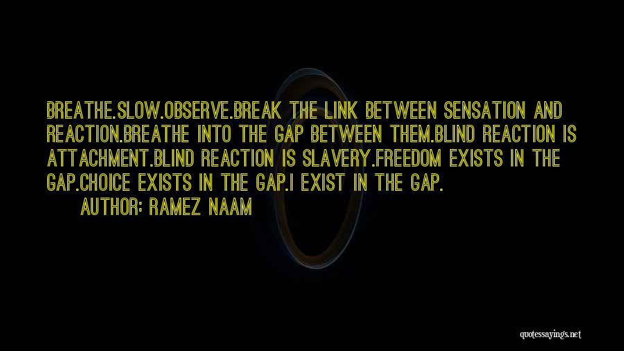 Ramez Naam Quotes: Breathe.slow.observe.break The Link Between Sensation And Reaction.breathe Into The Gap Between Them.blind Reaction Is Attachment.blind Reaction Is Slavery.freedom Exists In
