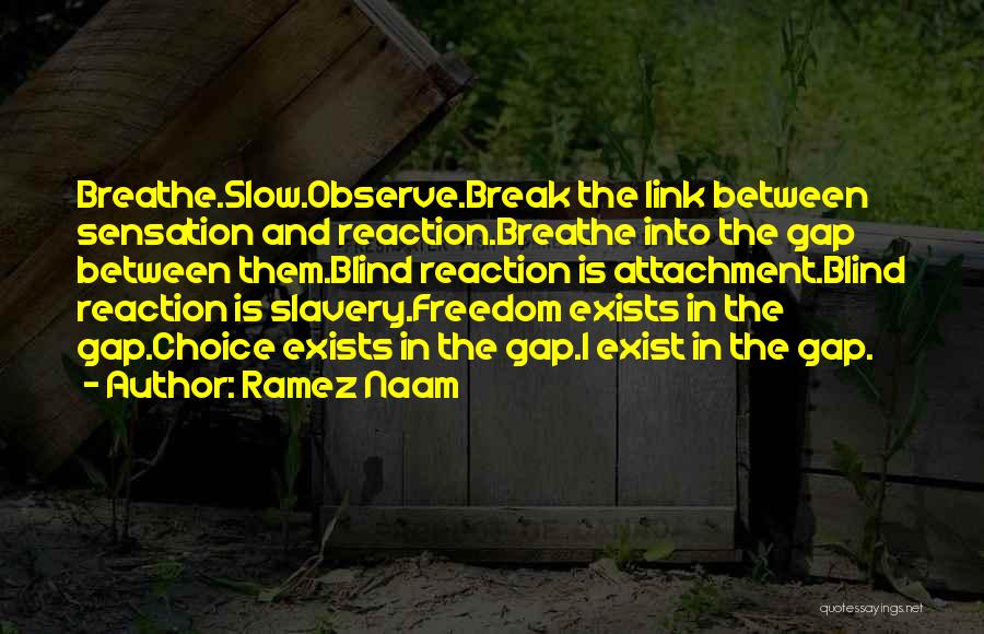 Ramez Naam Quotes: Breathe.slow.observe.break The Link Between Sensation And Reaction.breathe Into The Gap Between Them.blind Reaction Is Attachment.blind Reaction Is Slavery.freedom Exists In