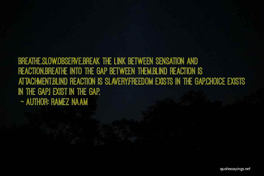 Ramez Naam Quotes: Breathe.slow.observe.break The Link Between Sensation And Reaction.breathe Into The Gap Between Them.blind Reaction Is Attachment.blind Reaction Is Slavery.freedom Exists In