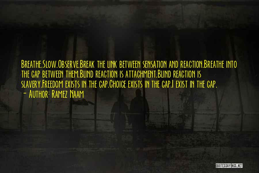 Ramez Naam Quotes: Breathe.slow.observe.break The Link Between Sensation And Reaction.breathe Into The Gap Between Them.blind Reaction Is Attachment.blind Reaction Is Slavery.freedom Exists In