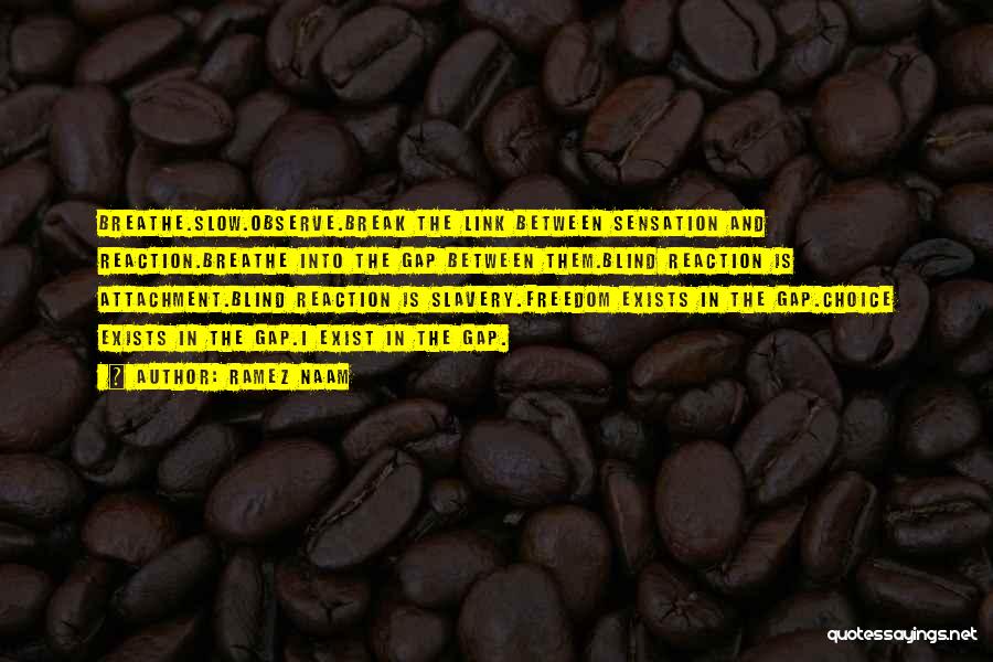 Ramez Naam Quotes: Breathe.slow.observe.break The Link Between Sensation And Reaction.breathe Into The Gap Between Them.blind Reaction Is Attachment.blind Reaction Is Slavery.freedom Exists In