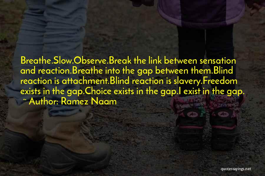 Ramez Naam Quotes: Breathe.slow.observe.break The Link Between Sensation And Reaction.breathe Into The Gap Between Them.blind Reaction Is Attachment.blind Reaction Is Slavery.freedom Exists In