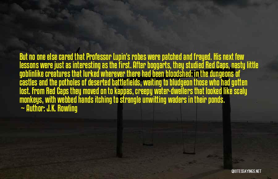 J.K. Rowling Quotes: But No One Else Cared That Professor Lupin's Robes Were Patched And Frayed. His Next Few Lessons Were Just As