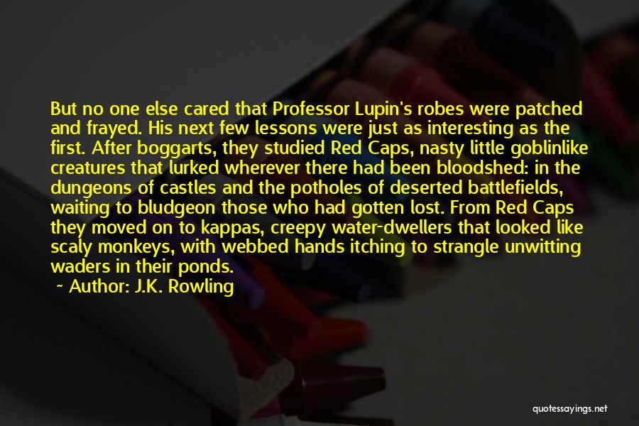 J.K. Rowling Quotes: But No One Else Cared That Professor Lupin's Robes Were Patched And Frayed. His Next Few Lessons Were Just As