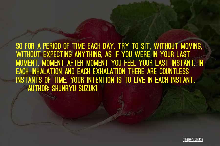 Shunryu Suzuki Quotes: So For A Period Of Time Each Day, Try To Sit, Without Moving, Without Expecting Anything, As If You Were